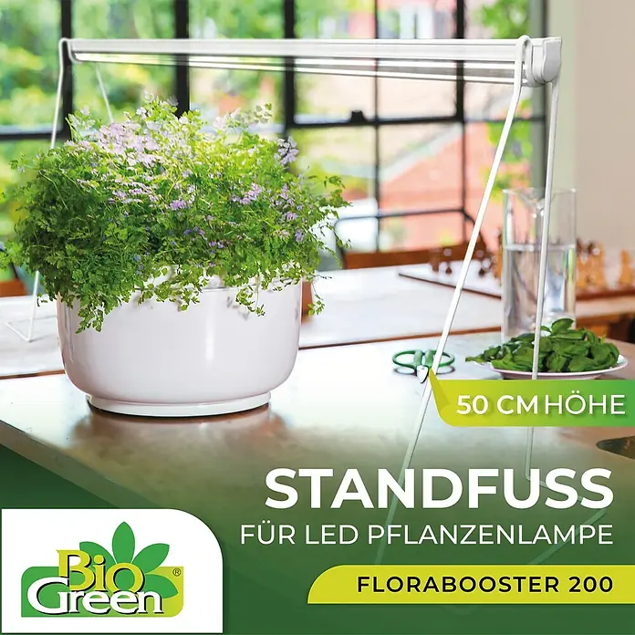 BioGreen Standfuß - Passend für: Bio Green Pflanzenlampe Florabooster 200, Weiß - Bio Green LED Pflanzenlampe Florabooster 200: Das Standfuß-Set für optimale Pflanzenbeleuchtung, 50 cm Höhe für gesundes Wachstum.