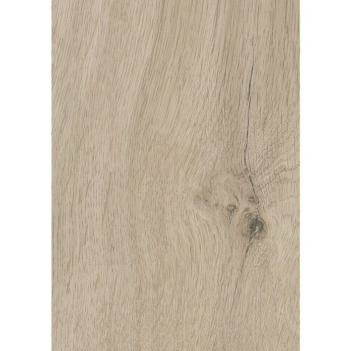 LOGOCLIC Aquaprotect Laminat Nature Oak (Beige, Landhausdiele, 1 288 x 195 x 8 mm) | BAUHAUS