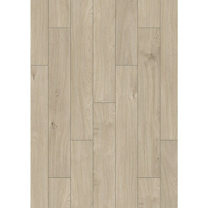LOGOCLIC Aquaprotect Laminat Nature Oak (Beige, Landhausdiele, 1 288 x 195 x 8 mm) | BAUHAUS