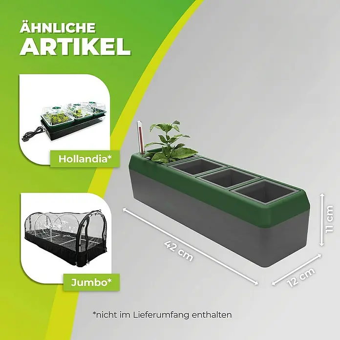 BioGreen Kräuterkasten Provence - 42 x 12 x 11 cm, Kunststoff, Grün/Grau - Produktbild eines länglichen, grauen Pflanzkastens mit drei grünen Einsätzen, bepflanzt mit einer kleinen Pflanze und einem Thermometer.