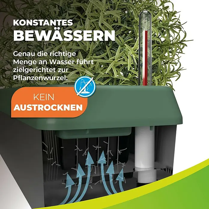 BioGreen Kräuterkasten Provence - 42 x 12 x 11 cm, Kunststoff, Grün/Grau - Produktbild eines Bewässerungssystems für Pflanzen, das konstante Bewässerung und Vermeidung von Austrocknung verspricht.