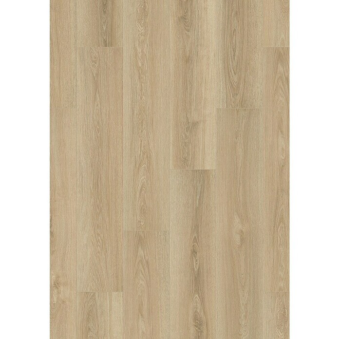 LOGOCLIC Vinto Laminat Memphis  (Rustikalni pod, 1.288 x 195 x 8 mm) | BAUHAUS