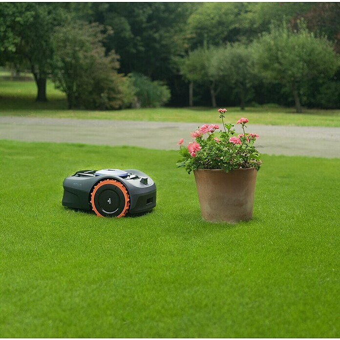 Segway Mähroboter Navimow i108E 4G (800 m², Schnittbreite: 18 cm, GPS, inkl. Navimow Access+ 4G-Modul) | BAUHAUS