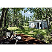 Palmako Caseta de jardín Kalle (Medidas ext. (An x Pr): 611 x 387 cm, Madera, Natural) | BAUHAUS