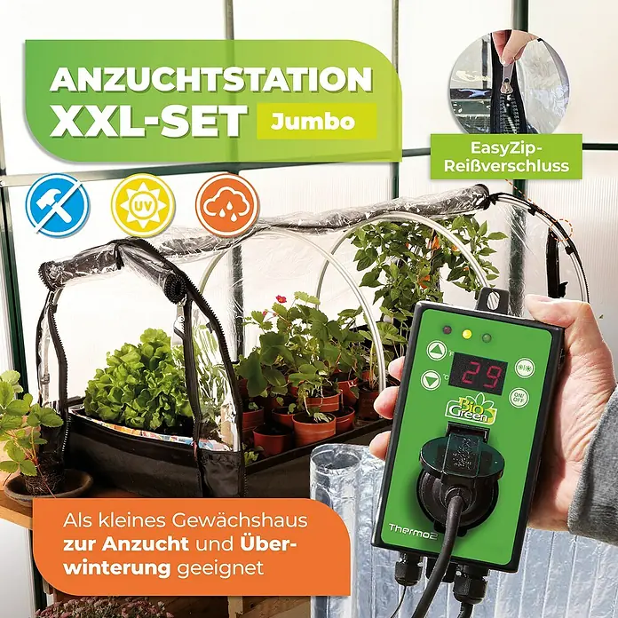 BioGreen Zimmergewächshaus mit Heizmatte & Digitalthermostat Jumbo XXL - 130 x 60 x 50 cm - Anzuchtstation XXL-Set Jumbo mit EasyZip-Reißverschluss und Thermostat zur Anzucht und Überwinterung von Pflanzen.