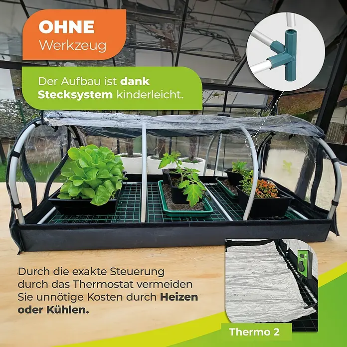 BioGreen Zimmergewächshaus mit Heizmatte & Digitalthermostat Jumbo XXL - 130 x 60 x 50 cm - Das Bild zeigt ein Mini-Gewächshaus mit Pflanzen, das einfach zu montieren ist und über ein Thermostat zur Kostenersparnis verfügt.