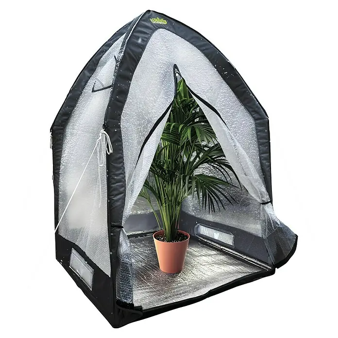 BioGreen Winterschutzzelt Icedome ThermoPLUS Deluxe - 120 x 120 x 183 cm, Kunststoff - Pflanzenhaus mit einer Pflanze im Topf. Das Gewächshaus hat eine durchsichtige Abdeckung mit schwarzen Rändern und einem silbernen Boden.