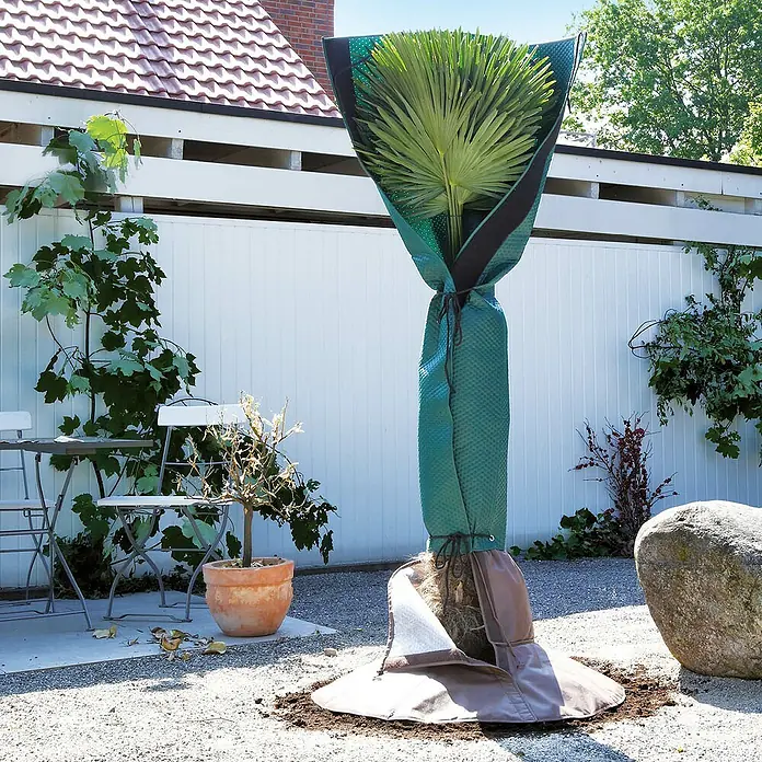 BioGreen Winterschutz Stammschutz für Palmen - Passend für: Stammdurchmesser bis 35 cm - Eine Palme im Garten, geschützt durch eine grüne Pflanzenhaube und einen braunen Wurzelschutz vor Kälte.