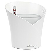 Lechuza Orchideentopf Orchidea All-In-One (L x B x H: 18,3 x 17,9 x 19,5 cm, Weiß)