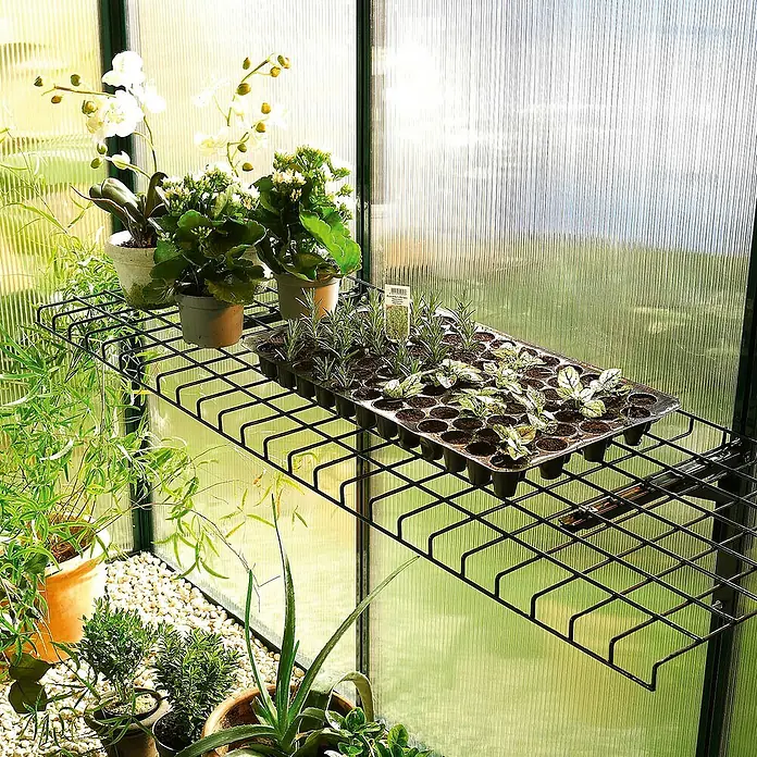 BioGreen Gewächshaus-Tisch Bruno - 40 x 120 cm, Klappbar - Nahaufnahme eines Regals in einem Gewächshaus mit Topfpflanzen und einer Anzuchtplatte, die verschiedene Setzlinge zeigt.