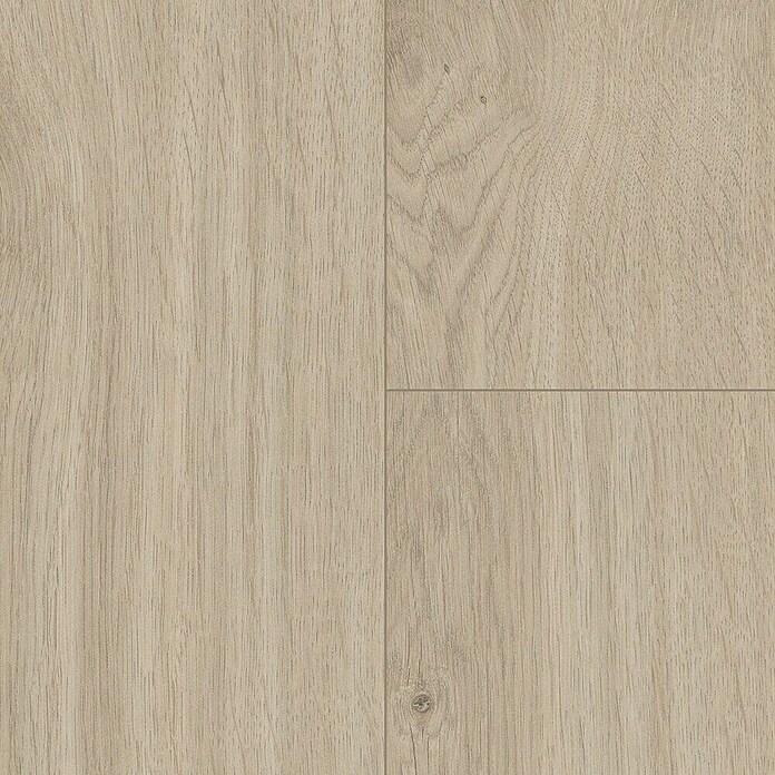 LOGOCLIC Aquaprotect Laminat Nature Oak (Beige, Landhausdiele, 1 288 x 195 x 8 mm) | BAUHAUS