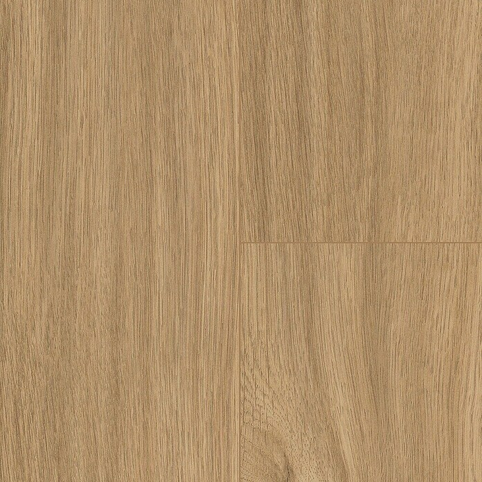 LOGOCLIC Aquaprotect Laminat Soft Oak (Soft Oak, Landhausdiele, 1 288 x 195 x 8 mm) | BAUHAUS