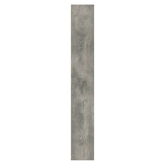LOGOCLIC Family Laminat Sintra  (Rustikalen videz, 1.288 x 195 x 7 mm) | 5137 - Logoclic Family | GCDA - Laminatboden | GCD - Wand Boden Decke Leisten | GC - Wand Boden Decke Leisten | G - Holz/Bauelem | BAUHAUS