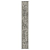 LOGOCLIC Family Laminat Sintra  (Rustikalen videz, 1.288 x 195 x 7 mm) | 5137 - Logoclic Family | GCDA - Laminatboden | GCD - Wand Boden Decke Leisten | GC - Wand Boden Decke Leisten | G - Holz/Bauelem | BAUHAUS