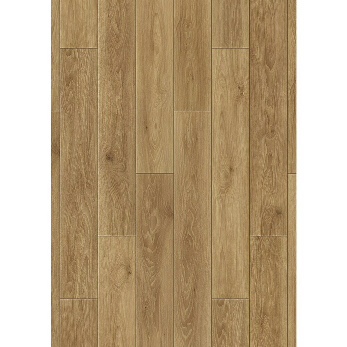 Laminat Comet Hrast  (Rustikalen videz, 1.288 x 195 x 8 mm) | 5180 - Laminat Aktion mit Trittschall | GCDA - Laminatboden | GCD - Wand Boden Decke Leisten | GC - Wand Boden Decke Leisten | G - Holz/Bauelem | BAUHAUS
