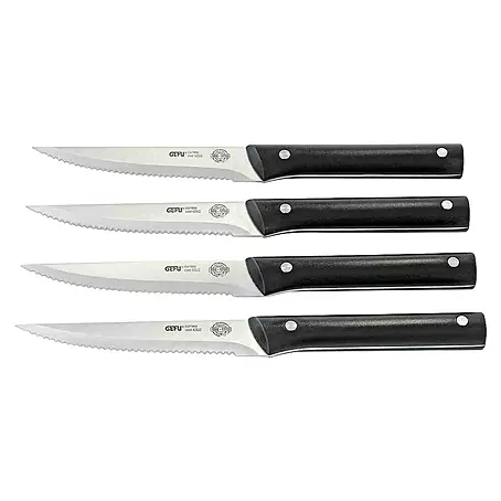 Dick  Steakmesser-Set BBQ