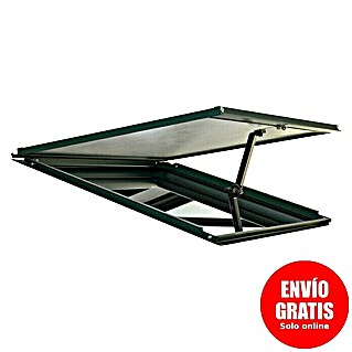 Palram – Canopia Ventana de techo para invernadero (Verde)