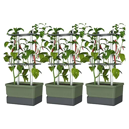 Gusta Garden  Pflanzgefäß Charly Chili