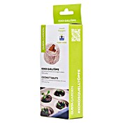 Gusta Garden Anzucht-Set Chili-Starter-Set (5 -tlg., Hellgrau) | BAUHAUS