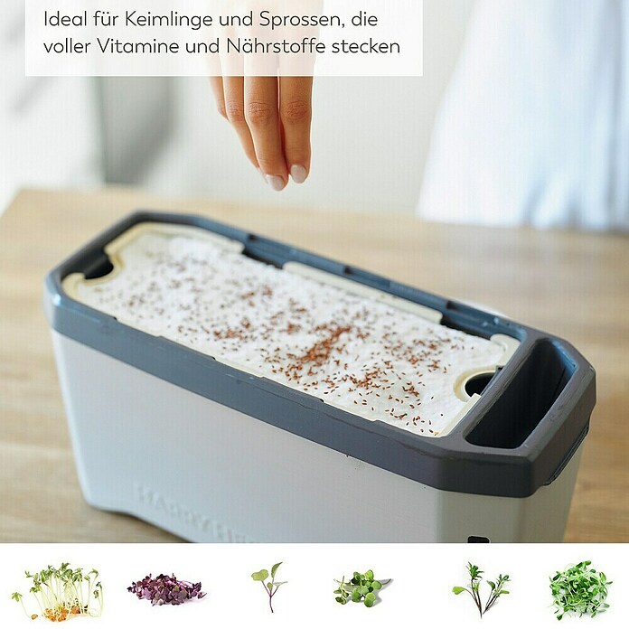 Gusta Garden Anzucht-Set Chili-Starter-Set (5 -tlg., Hellgrau) | BAUHAUS