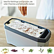 Gusta Garden Anzucht-Set Chili-Starter-Set (5 -tlg., Hellgrau) | BAUHAUS