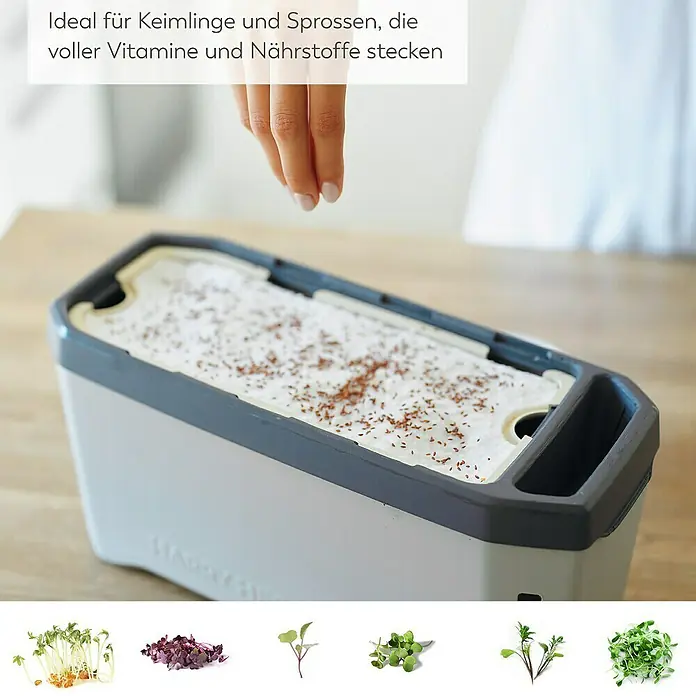 Gusta Garden Anzucht-Set Chili-Starter-Set - 5 -tlg., Hellgrau - Bild einer Keimbox. Ideal für frische Keimlinge und Sprossen, voller Vitamine und Nährstoffe. Frisches Grün für eine ausgewogene Ernährung.