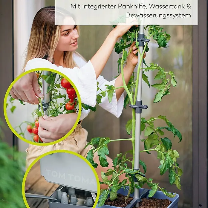 Gusta Garden Anzucht-Set Tomaten-Power - 9 -tlg., Blau - Tomatenpflanze mit integrierter Rankhilfe, Wassertank und Bewässerungssystem im Topf.