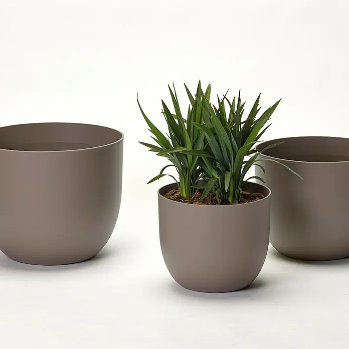 Pflanztopf Rio Greener - Außenmaß (Ø x H): 35 x 28 cm, Kunststoff, Taupe - Drei moderne, taupefarbene Blumentöpfe in verschiedenen Größen, einer davon bepflanzt mit einer grünen Pflanze, vor einem weißen Hintergrund.