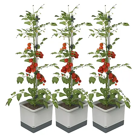 Gusta Garden  Pflanzgefäß Tom Tomato