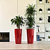 Euro3plast Pflanzsäule rund Tuit (Außenmaß (Ø x H): 33 x 61 cm, Kunststoff, Mattone Glänzend) | BAUHAUS