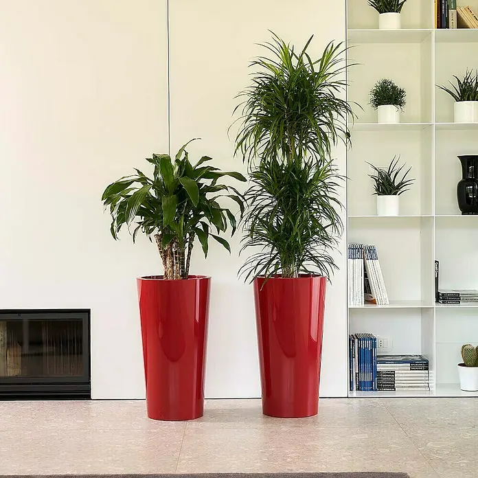 Euro3plast Pflanzsäule rund Tuit - Außenmaß (Ø x H): 33 x 61 cm, Kunststoff, Mattone Glänzend - Zwei elegante rote Pflanzgefäße mit üppigen Grünpflanzen, die einen modernen Touch verleihen. Perfekt für stilvolle Innenräume.