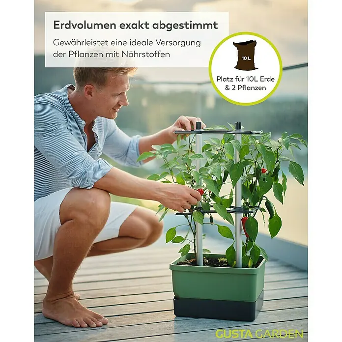 Gusta Garden Anzucht-Set Chili-Starter-Set - 5 -tlg., Dunkelgrün - Der GUSTA GARDEN Pflanzkasten mit abgestimmtem Erdvolumen sorgt für eine ideale Nährstoffversorgung der Pflanzen und bietet Platz für 10L Erde.