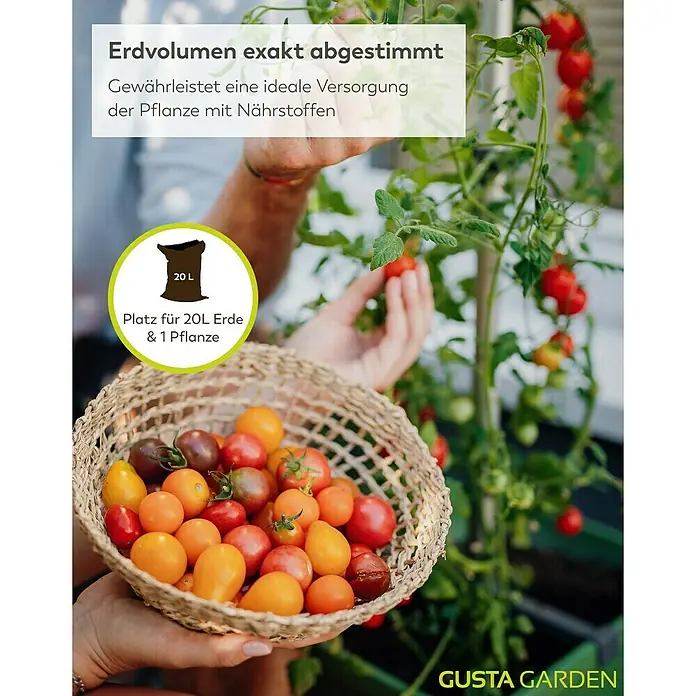 Gusta Garden Anzucht-Set Tomaten-Starter-Set - 5 -tlg., Dunkelgrün - Eine Nahaufnahme eines Korbes mit frischen Kirschtomaten, die aus einem mit Erde gefüllten Topf geerntet wurden.