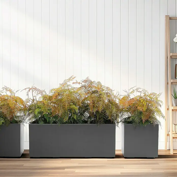 Pflanzkübel Greener KEBE - Außenmaß (L x B x H): 39,5 x 39,5 x 39,5 cm, Kunststoff, Anthrazit - Graue Pflanzgefäße mit Pflanzen vor einer weißen Wand.