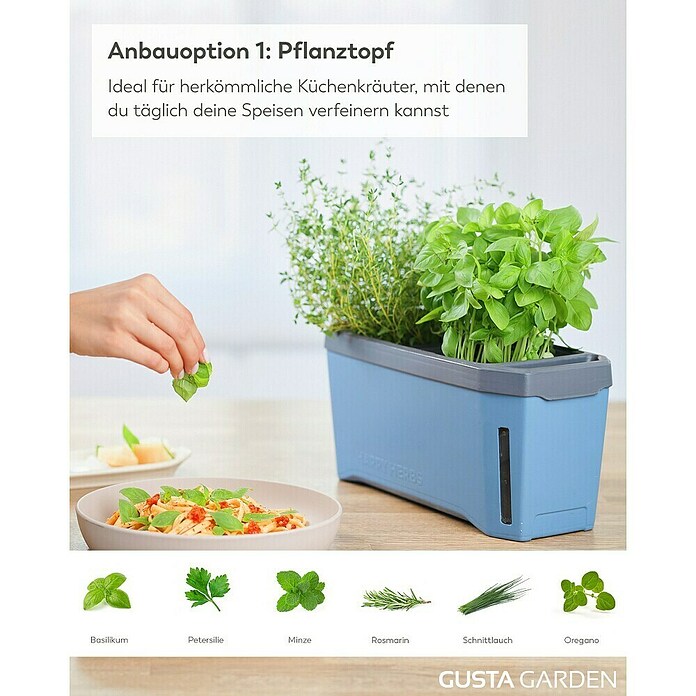 Gusta Garden Anzucht-Set Chili-Starter-Set (5 -tlg., Blau) | BAUHAUS
