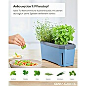 Gusta Garden Anzucht-Set Chili-Starter-Set (5 -tlg., Blau) | BAUHAUS