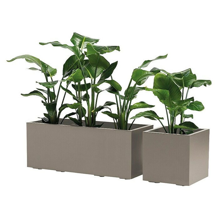 Pflanzkasten Greener KEBE (Außenmaß (L x B x H): 99,5 x 39,5 x 39,5 cm, Kunststoff, Taupe) | BAUHAUS
