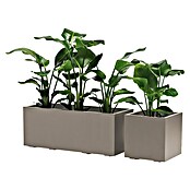 Pflanzkasten Greener KEBE (Außenmaß (L x B x H): 99,5 x 39,5 x 39,5 cm, Kunststoff, Taupe) | BAUHAUS