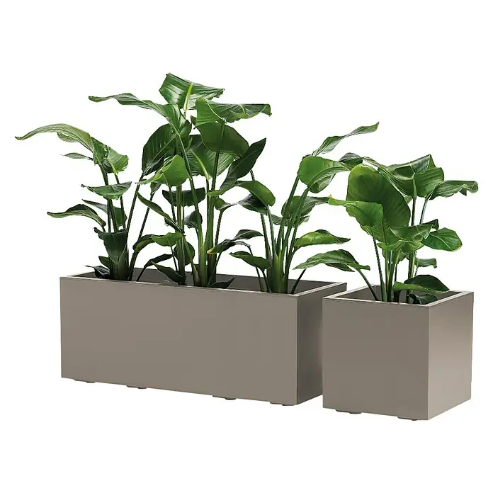 Pflanzkasten Greener KEBE - Außenmaß (L x B x H): 99,5 x 39,5 x 39,5 cm, Kunststoff, Taupe - Pflanzen in grauen Pflanzgefäßen.