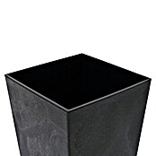 Siena Garden Pflanzsäule eckig Nizza Stone (Außenmaß (L x B x H): 40 x 40 x 75 cm, Kunststoff, Schwarz) | BAUHAUS