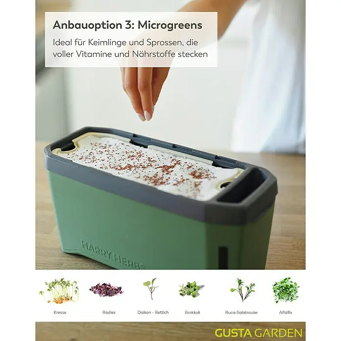 Gusta Garden Anzucht-Set Stadtkräutergarten Set - 6 -tlg., Dunkelgrau - Das Bild zeigt eine Anbauoption für Microgreens, ideal für Keimlinge und Sprossen, voller Vitamine und Nährstoffe, präsentiert von Harry Herbs.