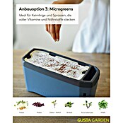 Gusta Garden Anzucht-Set Chili-Starter-Set (5 -tlg., Blau) | BAUHAUS