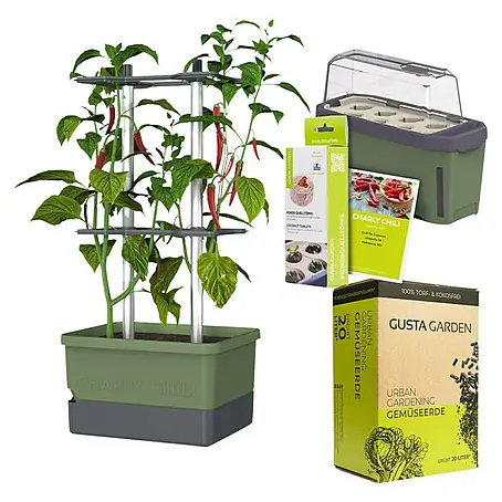 Gusta Garden  Anzucht-Set Chili-Starter-Set