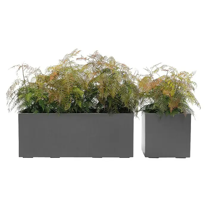 Pflanzkübel Greener KEBE - Außenmaß (L x B x H): 39,5 x 39,5 x 39,5 cm, Kunststoff, Anthrazit - Stilvolle Pflanzgefäße in Grau mit üppigen Grünpflanzen. Elegante Dekoration für Innen- und Außenbereiche.