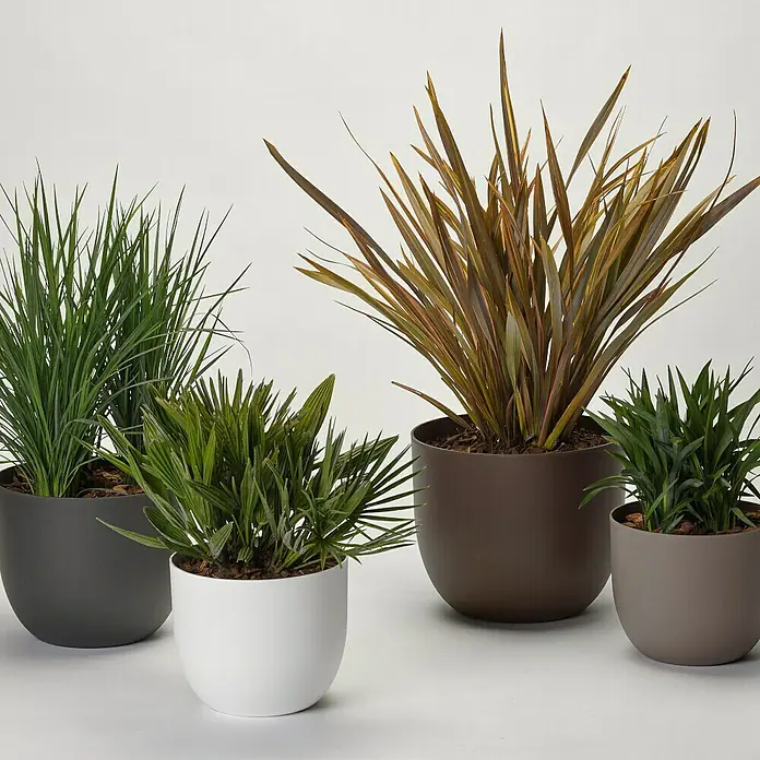 Pflanztopf Rio Greener - Außenmaß (Ø x H): 40 x 32,5 cm, Kunststoff, Anthrazit - Eine Gruppe von vier Zimmerpflanzen in stilvollen Töpfen unterschiedlicher Größe und Farbe. Diese Pflanzen bringen einen Hauch von Grün in jeden Raum.