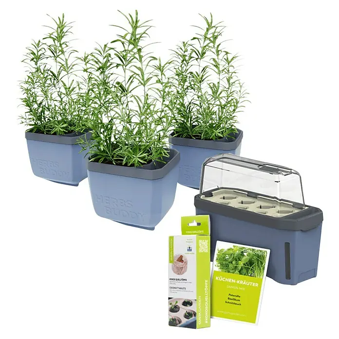 Gusta Garden Anzucht-Set Stadtkräutergarten Set - 6 -tlg., Blau - Ein Kräutergarten-Set mit Töpfen mit Kräutern, Anzuchtkasten und Zubehör für den Kräuteranbau in der Küche.