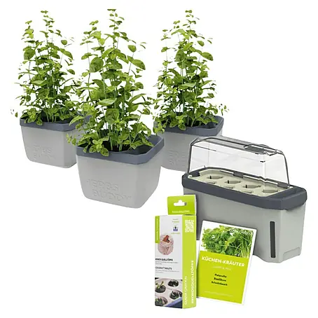 Gusta Garden  Anzucht-Set Stadtkräutergarten Set