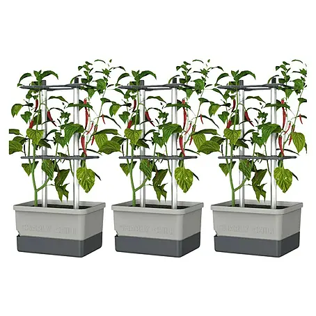 Gusta Garden  Pflanzgefäß Charly Chili