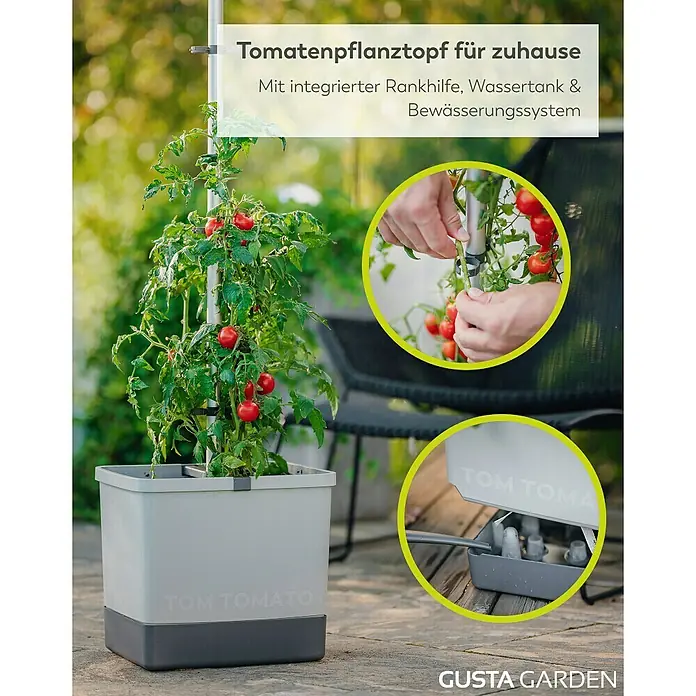 Gusta Garden Anzucht-Set Tomaten-Starter-Set - 5 -tlg., Hellgrau - Der Tomatenpflanztopf für Zuhause mit Rankhilfe, Wassertank und Bewässerungssystem bietet ideale Bedingungen für eine reiche Ernte.