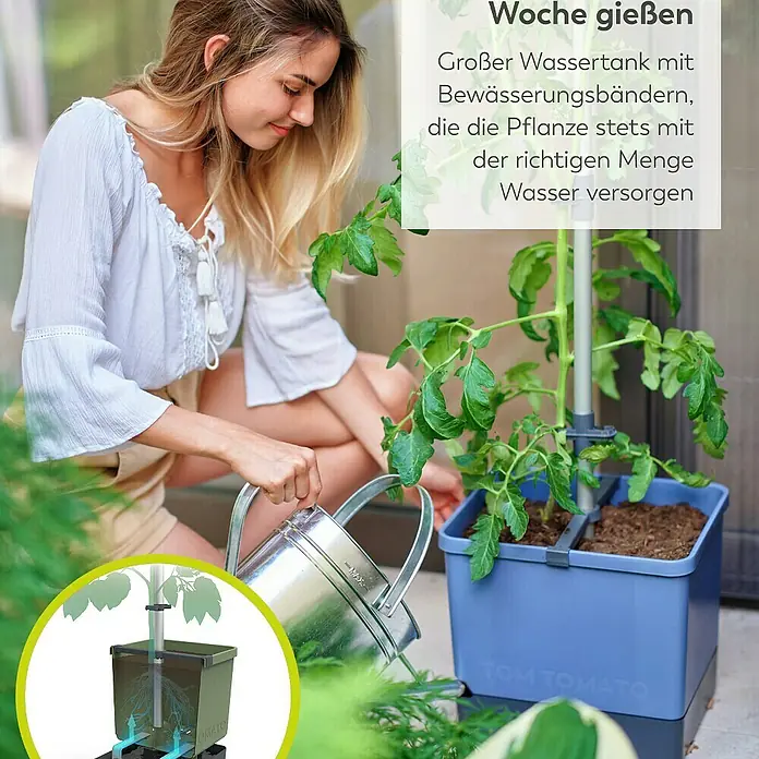 Gusta Garden Anzucht-Set Tomaten-Power - 9 -tlg., Blau - Frau gießt Tomatenpflanze in blauem Tom Tomato Pflanzgefäß mit großem Wassertank und Bewässerungsbändern.
